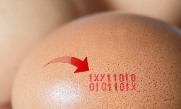 Yumurta üstündeki rakamlar ne anlama geliyor?