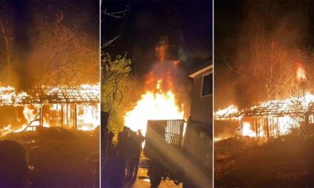 Sakarya’da korkutan yangını! Baraka alev topuna döndü