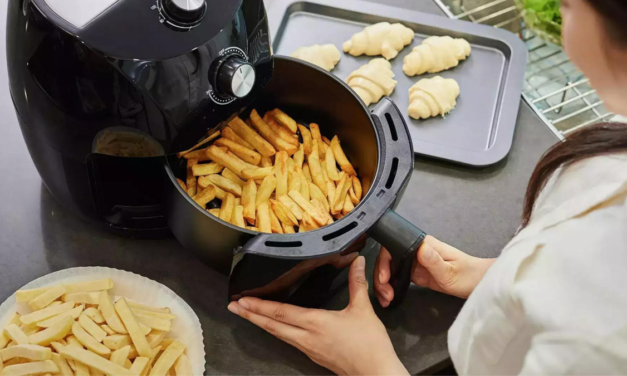 Airfryer’ımız aslında sadece küçük ve fanlı bir fırın