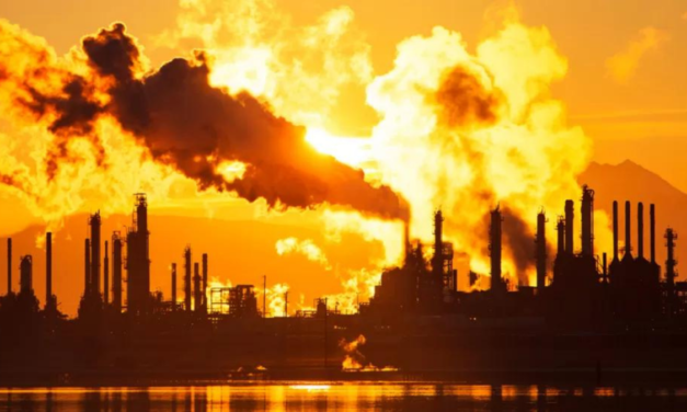 İklim bilimciden çarpıcı sözler: ‘Benim bildiklerimi bilseniz siz de dehşete kapılırdınız’