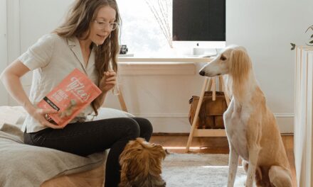 This dog training course bundle is on sale for $23.20