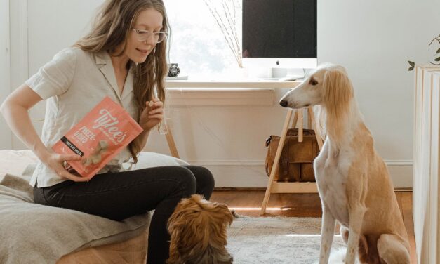 This dog training course bundle is on sale for $23.20