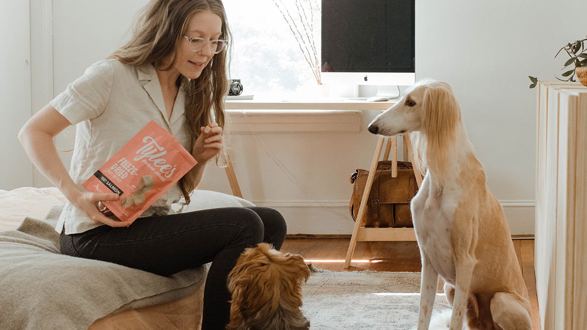This dog training course bundle is on sale for $23.20