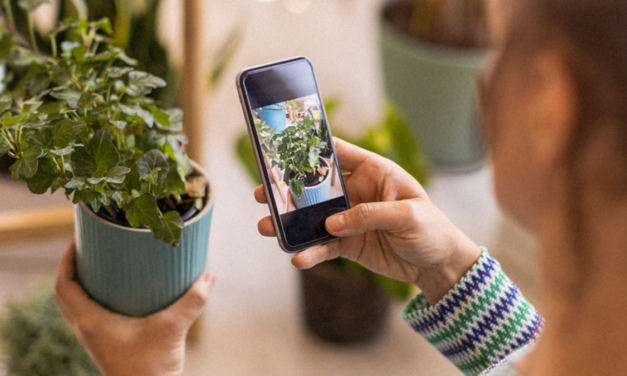 Best AI plant identifier deal: 71% off lifetime subscription