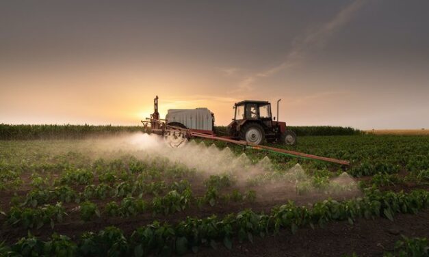 Tarım borsası aracılı sisteme ilk yarıda geçecek